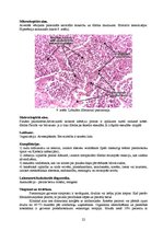 Konspekts 'Kļūdu labojums patoloģijā', 22.