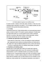 Referāts 'Dzeramā ūdens attīrīšana ar atgriezenisko osmozi', 5.