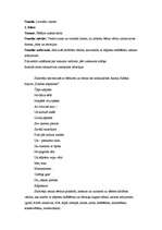 Prakses atskaite 'Vadīšanas prakse sākumskolā', 3.