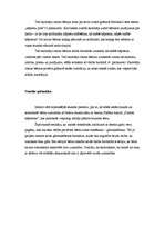 Prakses atskaite 'Vadīšanas prakse sākumskolā', 4.