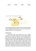 Prakses atskaite 'Vadīšanas prakse sākumskolā', 9.