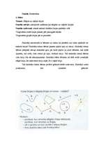 Prakses atskaite 'Vadīšanas prakse sākumskolā', 13.