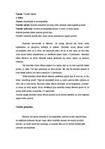 Prakses atskaite 'Vadīšanas prakse sākumskolā', 17.