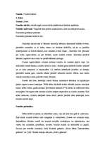 Prakses atskaite 'Vadīšanas prakse sākumskolā', 19.