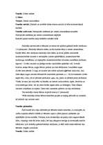 Prakses atskaite 'Vadīšanas prakse sākumskolā', 20.