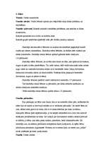 Prakses atskaite 'Vadīšanas prakse sākumskolā', 21.