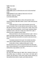 Prakses atskaite 'Vadīšanas prakse sākumskolā', 24.