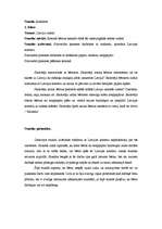 Prakses atskaite 'Vadīšanas prakse sākumskolā', 25.