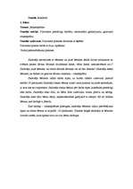 Prakses atskaite 'Vadīšanas prakse sākumskolā', 26.