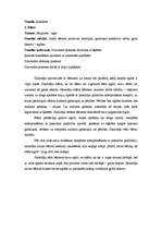 Prakses atskaite 'Vadīšanas prakse sākumskolā', 28.