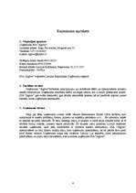 Biznesa plāns 'SIA “Aglow”', 4.