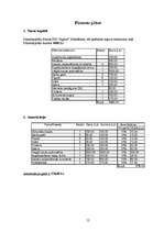 Biznesa plāns 'SIA “Aglow”', 12.