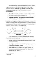 Konspekts 'Saziņas būtība un struktūra', 3.