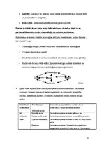 Konspekts 'Saziņas būtība un struktūra', 4.