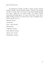 Referāts 'Aktīvais tūrisms', 9.