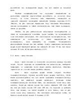 Referāts 'Aktīvais tūrisms', 11.