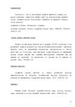 Referāts 'Aktīvais tūrisms', 20.