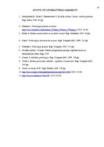 Referāts 'Reliģiskās iecietības veidošanās iespējas sociālajās zinībās 7.klasē', 24.