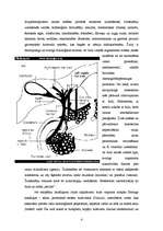 Referāts 'Mehāniskā dzelte', 4.