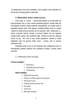 Referāts 'Mehāniskā dzelte', 5.