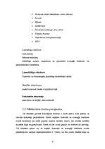 Referāts 'Mehāniskā dzelte', 6.