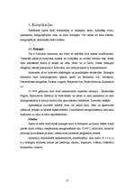 Referāts 'Mehāniskā dzelte', 13.