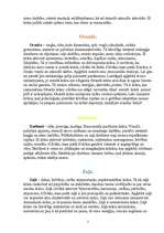 Referāts 'Krāsu ietekme uz cilvēku', 2.