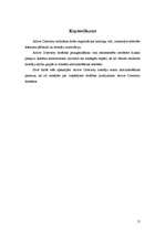 Referāts 'Lietotāju konti	(User accounts)', 15.