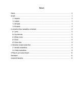 Referāts 'Vidzemes tautastērpi', 2.