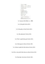 Referāts 'Darba vides ergonomisko risku izvērtējums elektronikas tehniķim', 30.