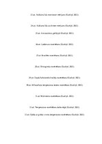 Referāts 'Darba vides ergonomisko risku izvērtējums elektronikas tehniķim', 32.