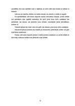 Referāts 'Lauksaimniecības uzņēmuma ražošanas plāns un attīstības iespējas graudkopībā', 22.