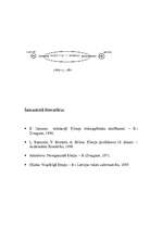 Referāts 'Neons', 5.