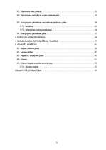 Biznesa plāns 'Biznesa plāns', 2.