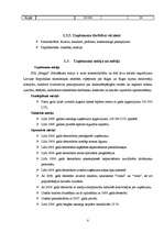 Biznesa plāns 'Biznesa plāns', 7.