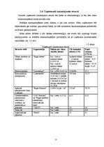 Biznesa plāns 'Biznesa plāns', 12.