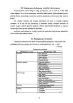 Biznesa plāns 'Biznesa plāns', 15.