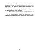 Biznesa plāns 'Biznesa plāns', 17.