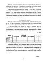 Biznesa plāns 'Biznesa plāns', 19.