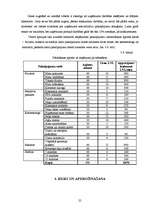 Biznesa plāns 'Biznesa plāns', 24.