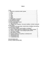 Referāts 'Būvdarbu veikšanas projekta apraksts', 2.