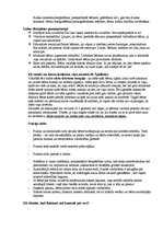 Referāts 'Disciplīna un sods bērnu audzināšanā', 5.