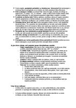 Referāts 'Disciplīna un sods bērnu audzināšanā', 6.