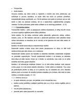 Referāts 'Sieviešu žurnāla "Lilit" lasītāju kosmētisko preču iegādes principi', 7.