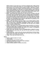 Eseja 'Šekspīra lugas "Spītnieces savaldīšana" analīze', 2.