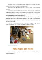 Paraugs 'Sākumskolas projekta darbs par mājdzīvnieku', 9.