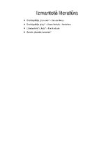 Paraugs 'Sākumskolas projekta darbs par mājdzīvnieku', 12.