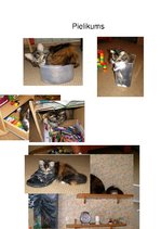 Paraugs 'Sākumskolas projekta darbs par mājdzīvnieku', 14.