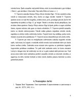 Referāts 'Vladimirs Toporovs', 9.