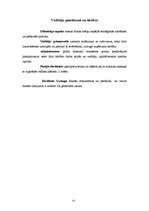 Biznesa plāns 'SIA "Panda"', 10.